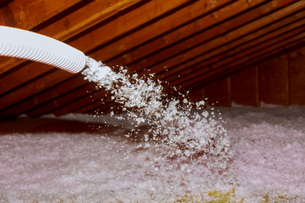 Best Spray Foam Insulation  in De Leon Springs, FL