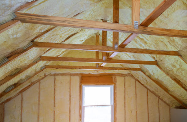 Best Best Insulation Companies  in De Leon Springs, FL