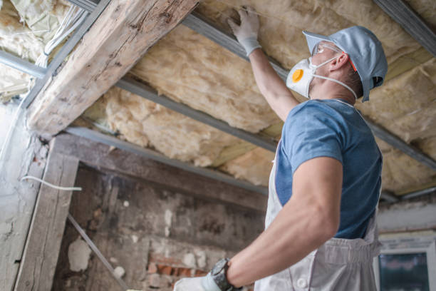 Best Wall Insulation Contractor  in De Leon Springs, FL